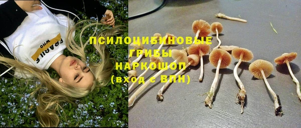марки nbome Алексеевка