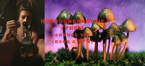 дживик Алзамай