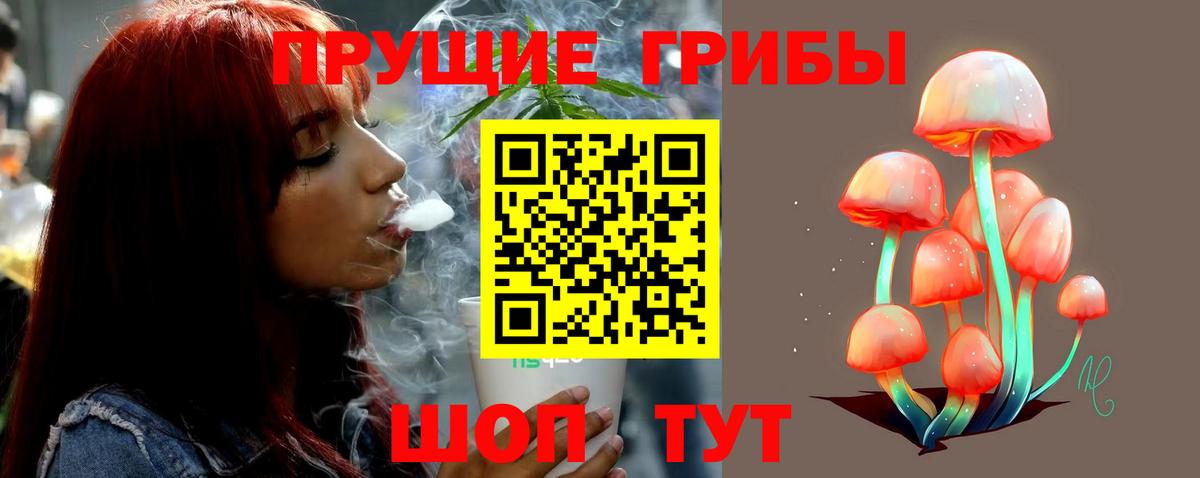 Моздок  Галлюциногенные грибы Magic Shrooms  цена   Вход с VPN  Галлюциногенные грибы Psilocybe 