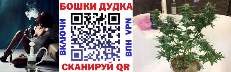 Марихуана MAZAR  мега ТОР  Моздок 